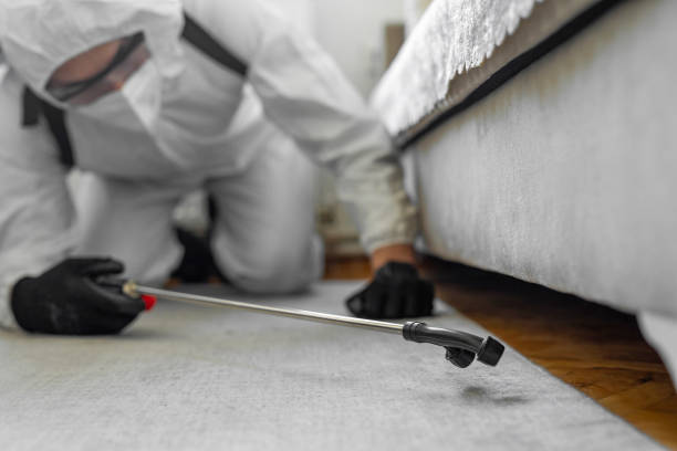 Professional Cockroach Control technician working in Garnet, CA