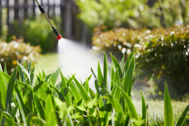 24/7 Emergency Cockroach Control experts in Garnet, CA